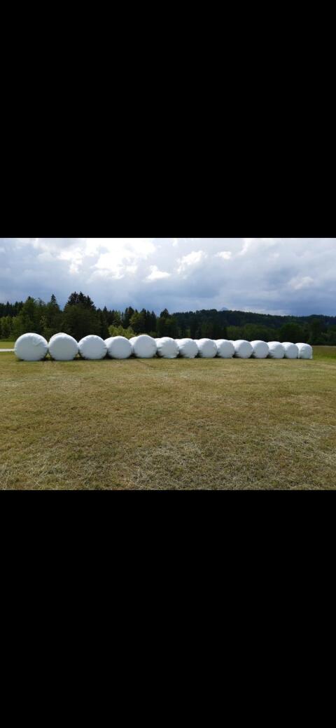 Siloballen 1. bis 3. Schnitt