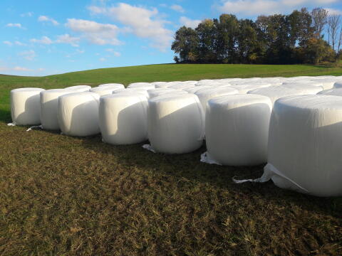Top Maissilageballen