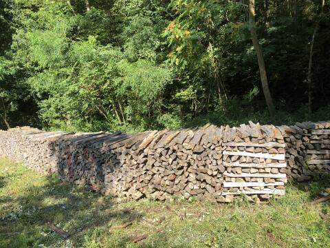 Trockenes Brennholz