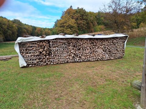 Brennholz Buche