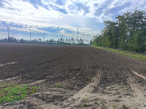 8 ha Acker (Nr. 506) zwischen Obersiebenbrunn und Gänserndorf