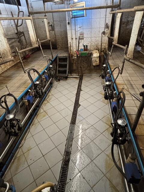 Melkstand Alfa Laval Fischgrät 2x3