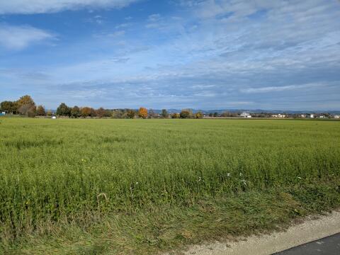 Verkaufe Acker, landwirtschaftliche Nutzfläche