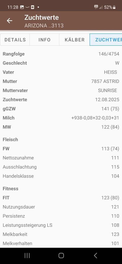 Zuchtkalbin GZW 141