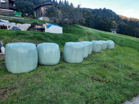 Siloballen, 3. Schnitt