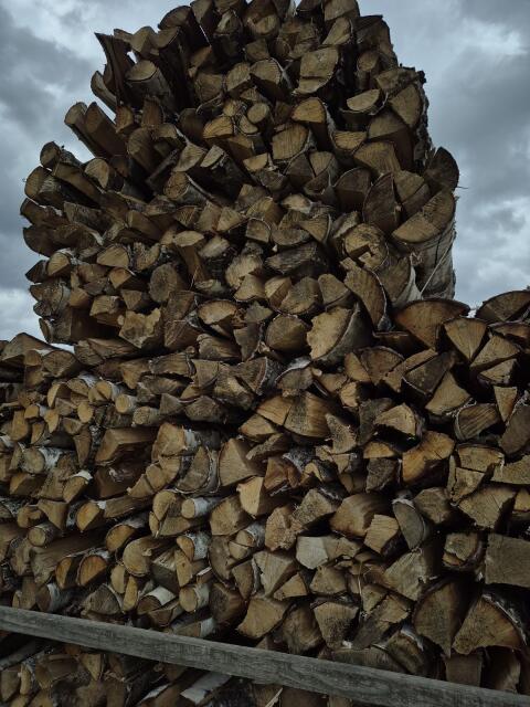 Birkenbrennholz