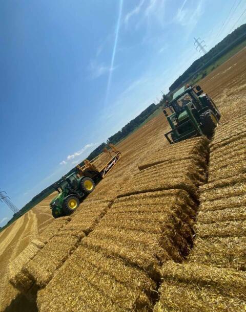 Stroh, Heu, Silage