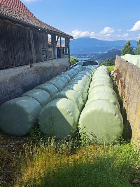 Silageballen