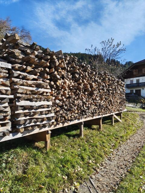 Brennholz Eiche trocken