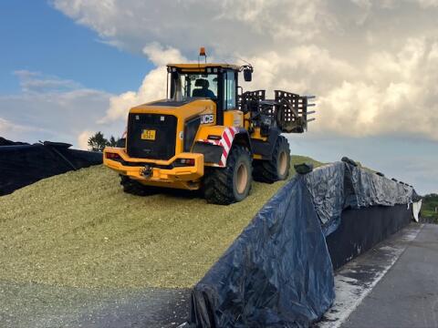 Maissilage