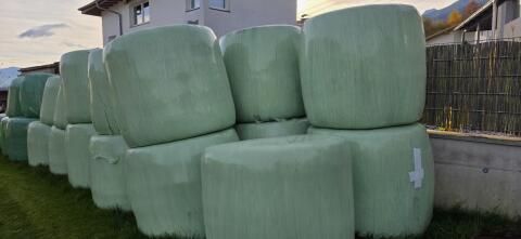 Siloballen 1. Schnitt 2024