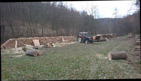 Buchen Brennholz