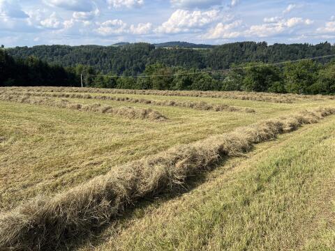 Heu Heuballen Bio Rundballen 1. Schnitt 2025