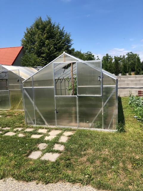 Gewächshaus L 18 HKP 6mm