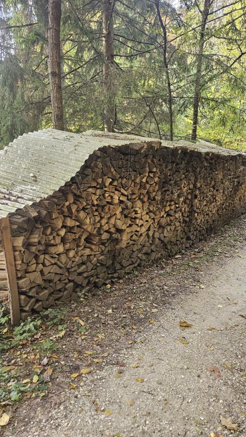 Brennholz Hartholz