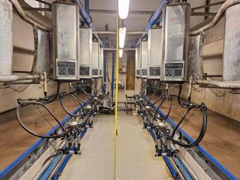 Melkstand DeLaval