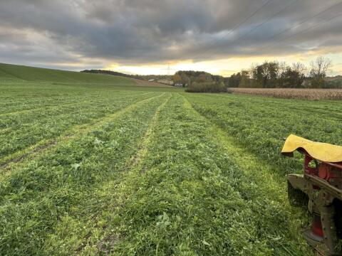 Bio Silageballen