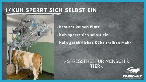 Speed-Fix Klauenpflegestand