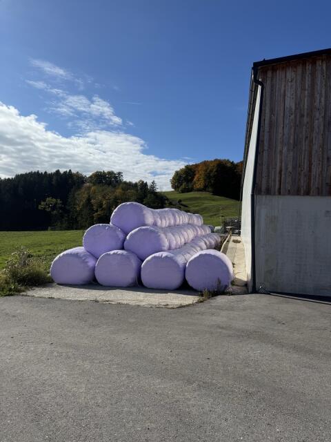 Bio Silageballen