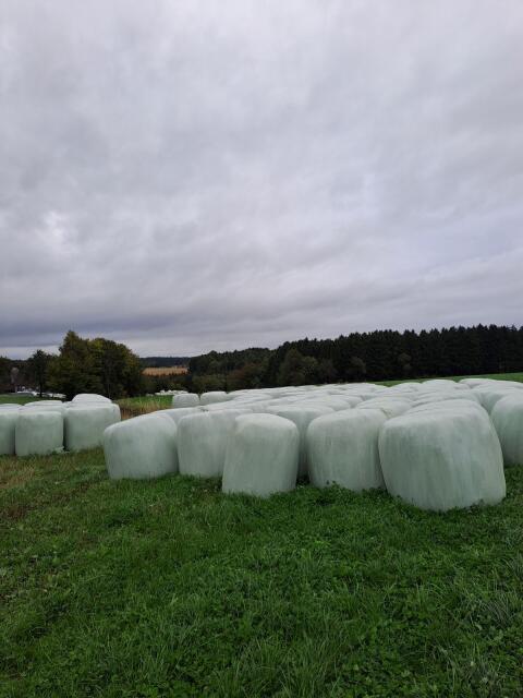 Silage Ballen