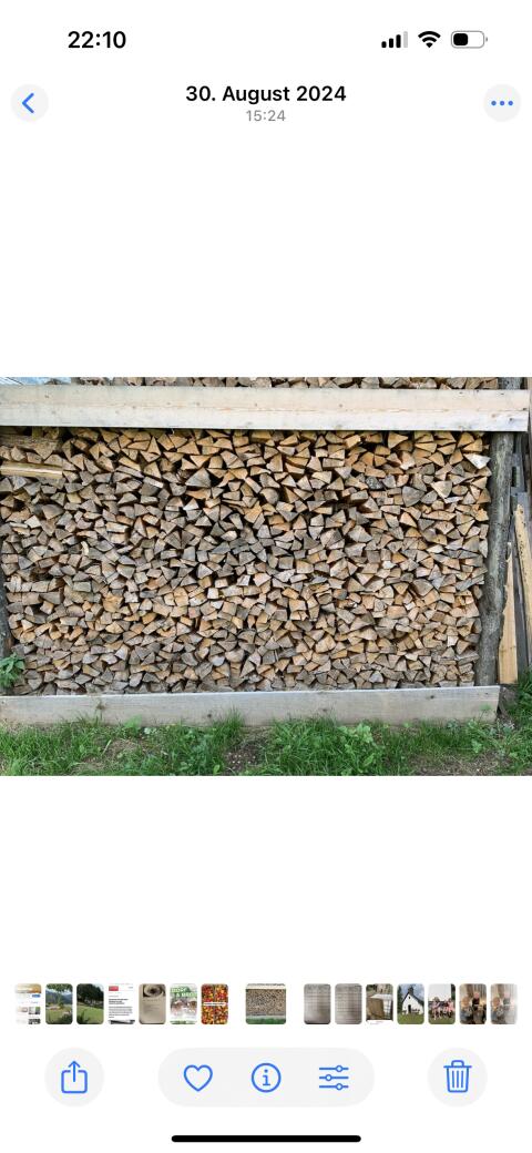 Brennholz Fichte