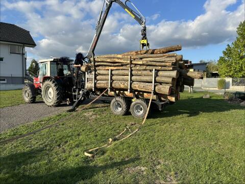 Holzschlägerung, Durchforstung, Windbruch