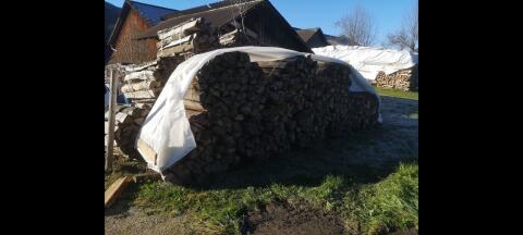 Brennholz