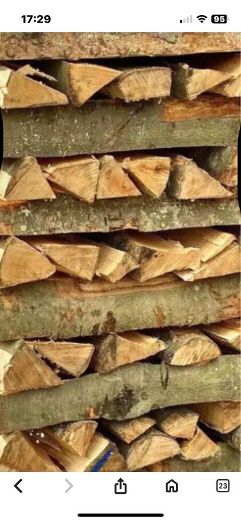Brennholz Buche