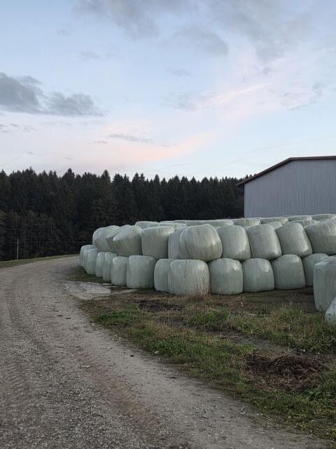 Silageballen 1-4. Schnitt