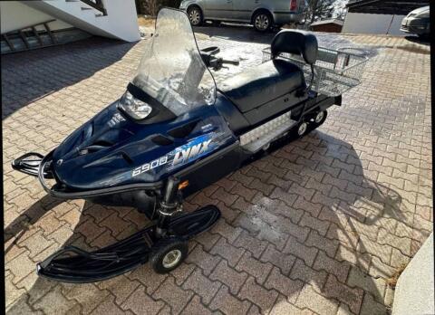Motorschlitten Lynx 5900