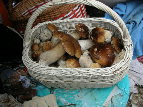 Getrocknete Steinpilze und Kaiserlinge 1 kg