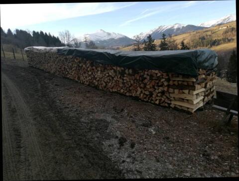 Brennholz
