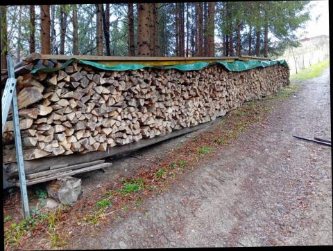 Buchenbrennholz