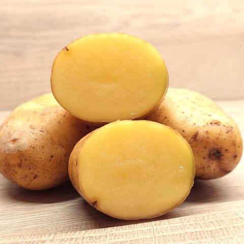 Waldviertler Bio-Kartoffeln