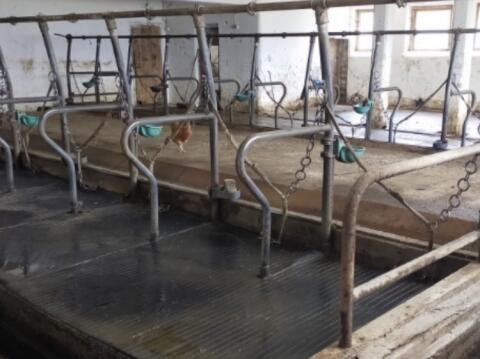 Rinderstall Zubehör Brennholz