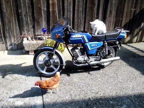 KTM Comet 80 RL