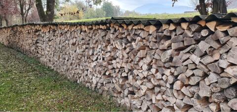 Brennholz (Scheiterholz)
