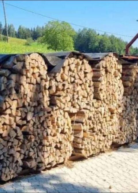 Brennholz frisch