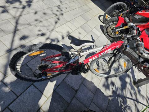 Fahrrad 24"
