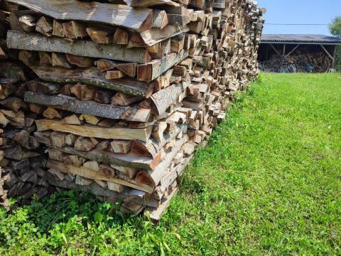 Buchenholz