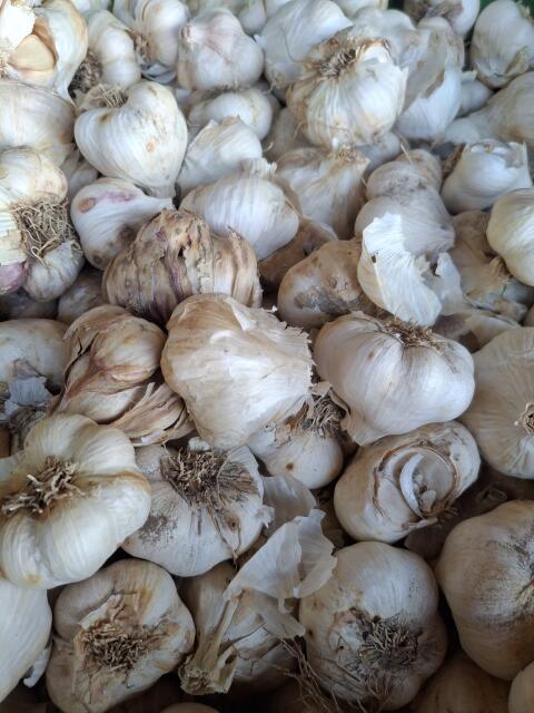 Knoblauch 2. Wahl