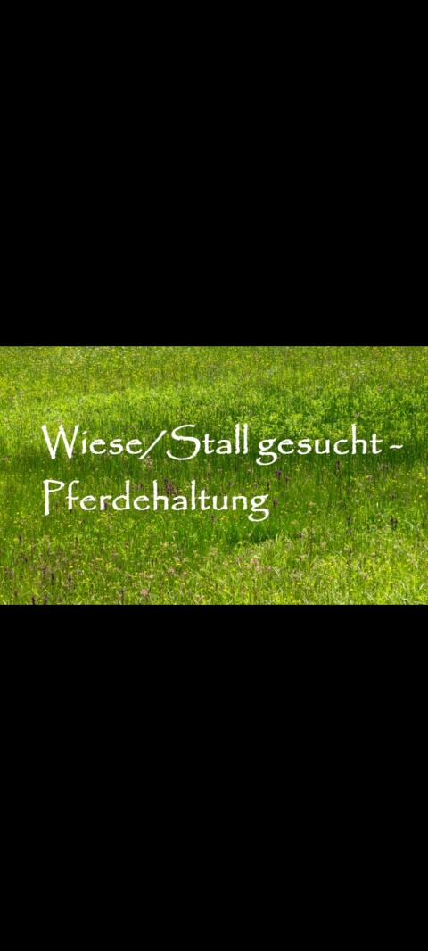 Wiese oder Stall gesucht zur Pacht/Miete