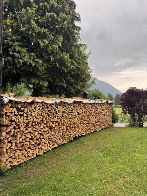 Brennholz Buche
