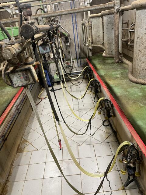 GEA Stimoplus C, Milchtank 1.650 l