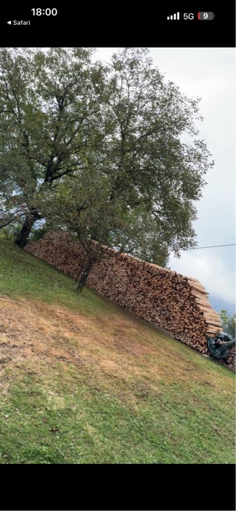 Buchenbrennholz