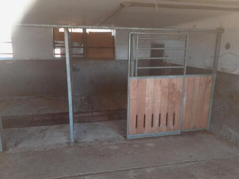 Pferdestall, Aufstallung, Pferdeboxen