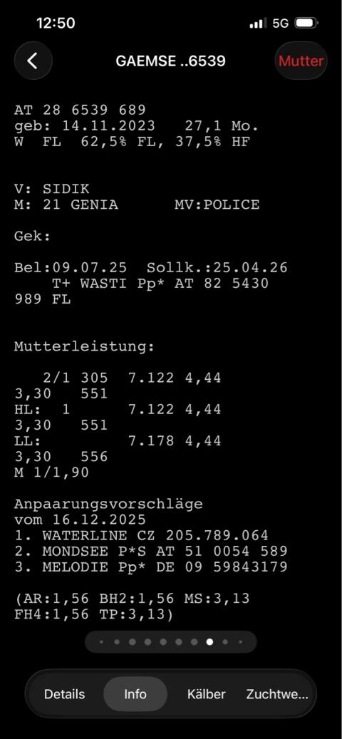 Verkaufe FV x HF Kalbin