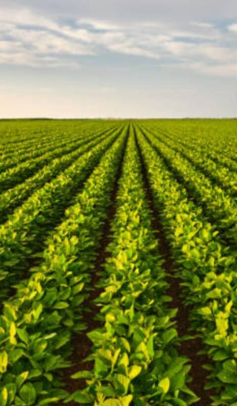 Suche Ackerpachtflächen!