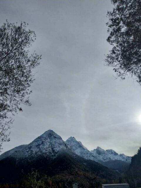 Suche Alm zum Pachten für Milchkühe