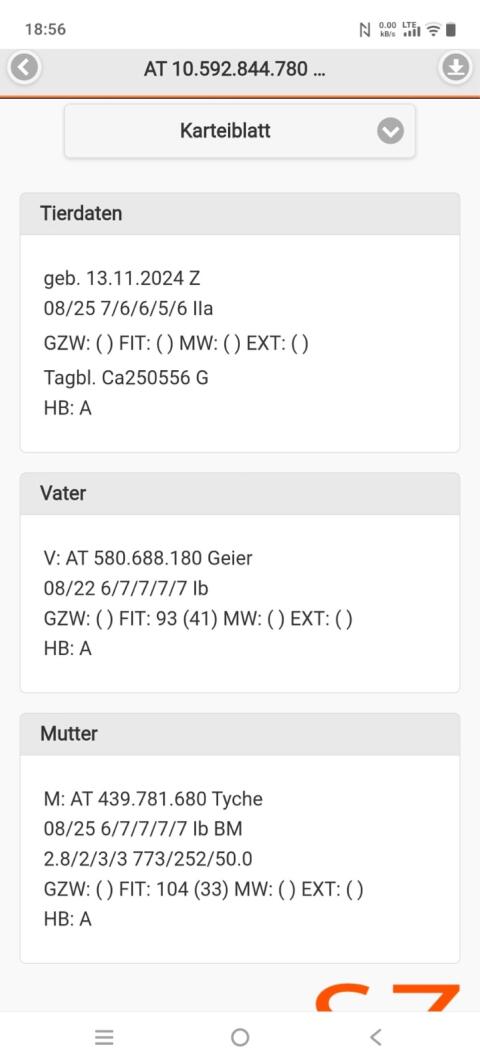 Verkaufe HB Tauernscheckenbock